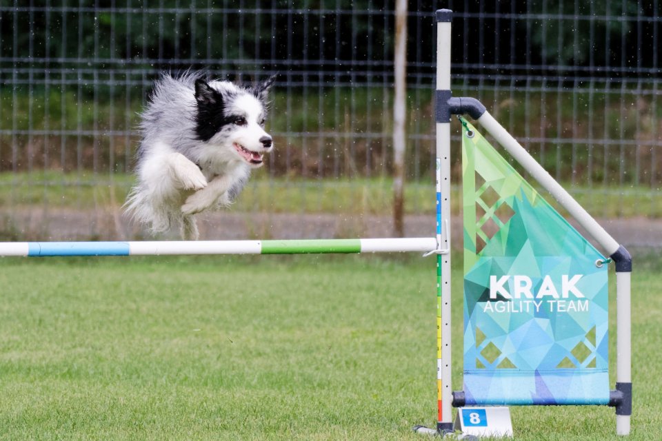 Agility — portfolio Grzegorza Ososińskiego