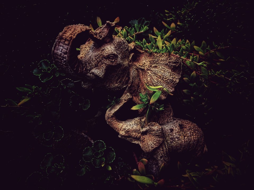 Inne spojrzenia — fotografia 6